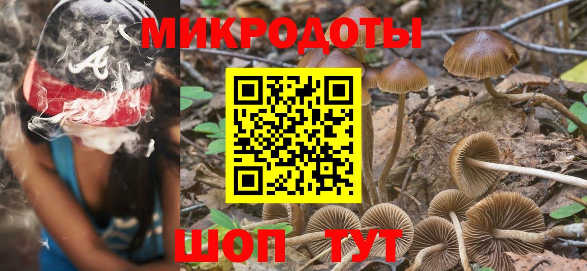 Галлюциногенные грибы MAGIC MUSHROOMS  Вход с VPN  Галлюциногенные грибы мицелий  Магадан 
