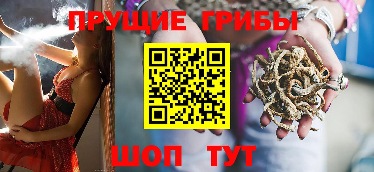 Галлюциногенные грибы MAGIC MUSHROOMS Магадан
